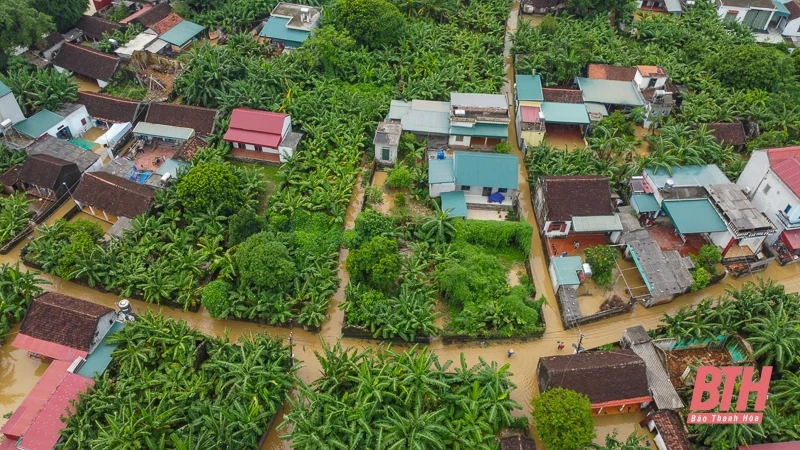 m88 cá cược thể thao trực tuyến nuôi, đồ đạc lên đê tránh lũ