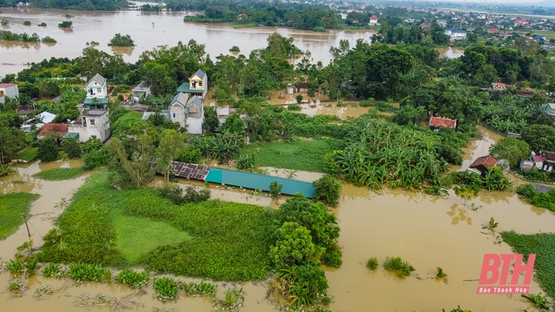 m88 cá cược thể thao trực tuyến nuôi, đồ đạc lên đê tránh lũ