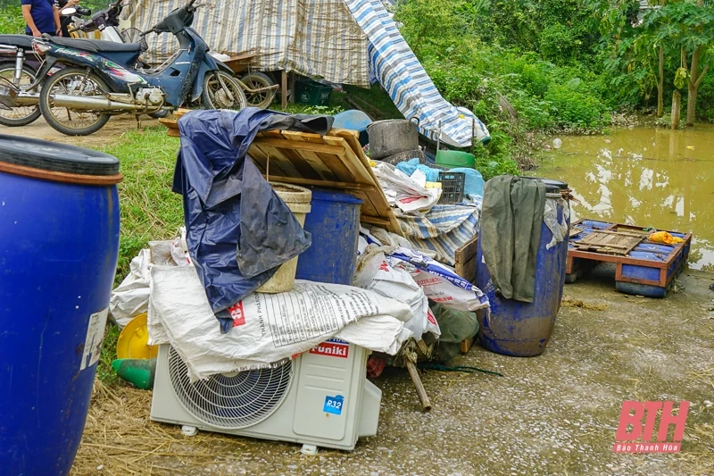 m88 cá cược thể thao trực tuyến nuôi, đồ đạc lên đê tránh lũ