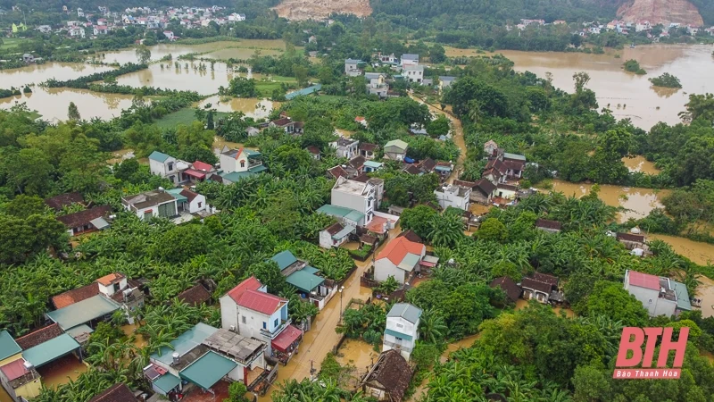 m88 cá cược thể thao trực tuyến nuôi, đồ đạc lên đê tránh lũ