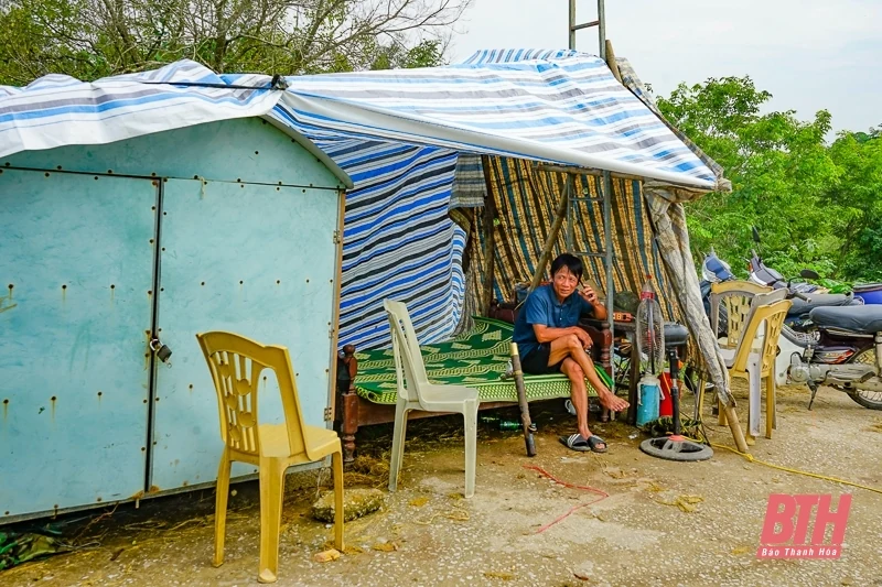 m88 cá cược thể thao trực tuyến nuôi, đồ đạc lên đê tránh lũ