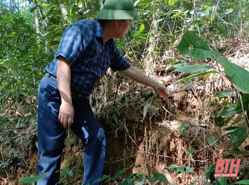 Xuất hiện vết nứt ngang đồi, huyện Như Thanh khẩn cấp di dời các hộ dân