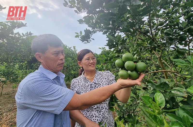 Xây dựng đội ngũ cán bộ cơ sở là người dân tộc thiểu số (Bài 1): Chọn “hạt giống đỏ”