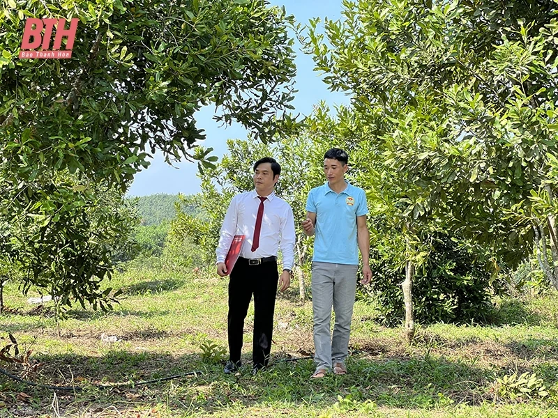 Góp phần xây dựng các vùng quê m88 link mới nhất