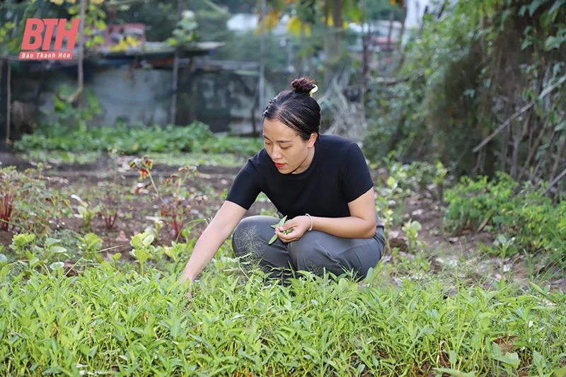 Những người Mông “đi ngược” tìm ấm no nơi biên viễn (Bài 2): Chị Dợ vượt nỗi sợ định kiến