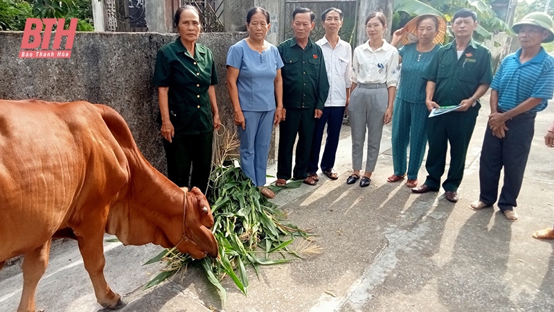 Hội Cựu thanh niên xung phong huyện Quảng Xương với các hoạt động vì nghĩa tình đồng đội