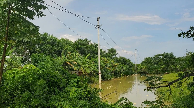 Khắc phục triệt để sự cố lưới điện trung áp tỉnh Thanh Hóa