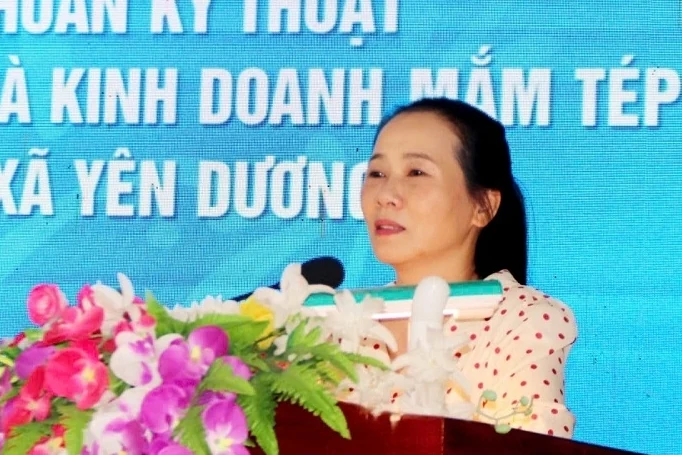 Ra mắt và tập huấn mô hình HTX sản xuất và kinh doanh mắm tép do phụ nữ tham gia quản lý xã Yên Dương