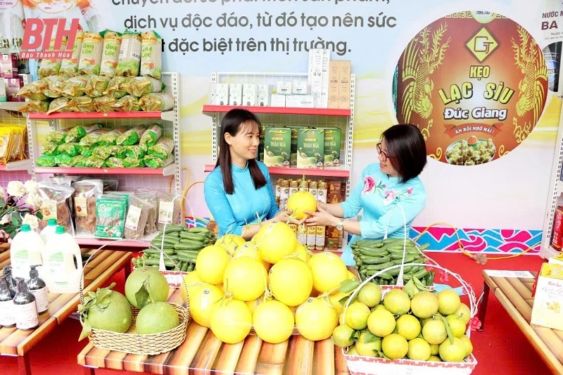 Trải nghiệm nghề cùng phụ nữ các vùng miền xứ Thanh