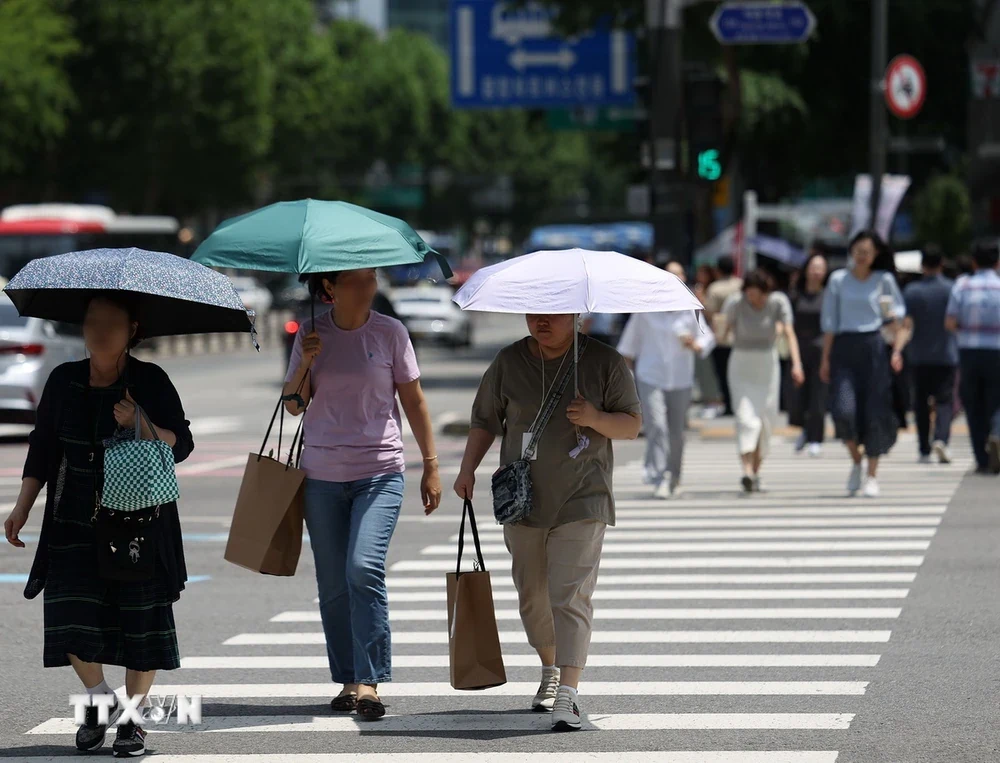 2024 sẽ trở thành năm ấm nhất từ trước đến nay