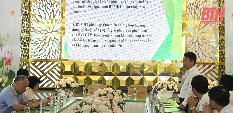 Ký kết hợp tác toàn diện giữa Tập đoàn Medipha và Bệnh viện Châm cứu Trung ương