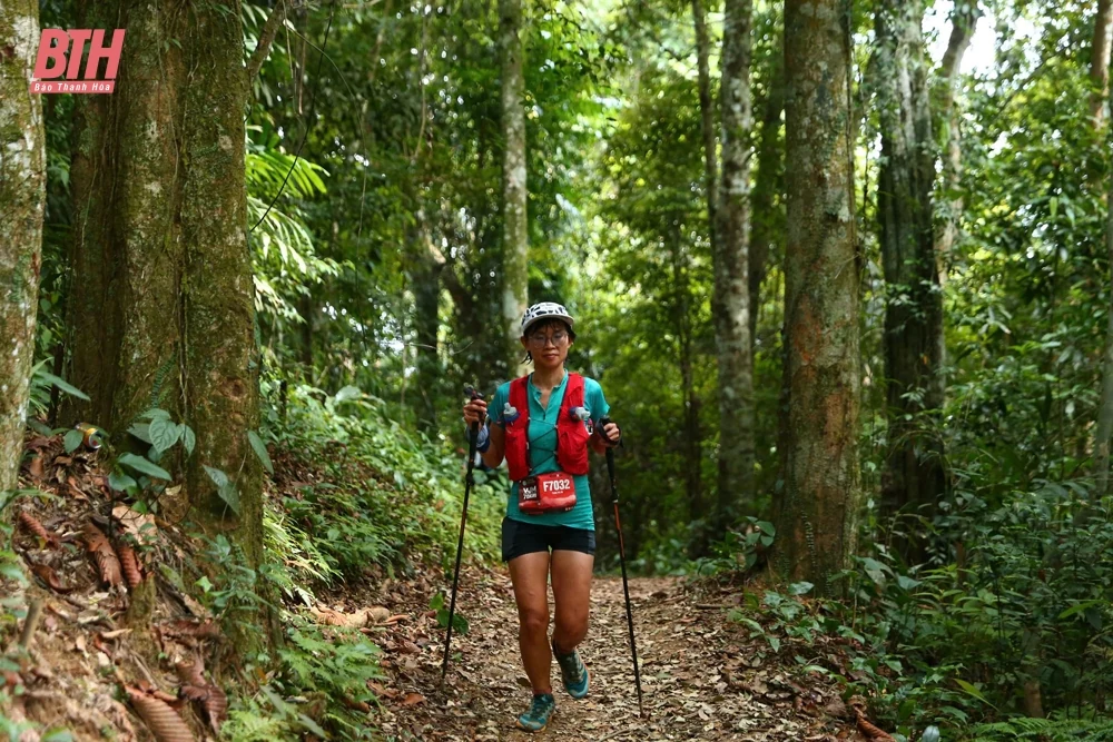1.500 VĐV trong nước, quốc tế sôi nổi tranh tài tại Giải chạy Marathon băng rừng Việt Nam - Pù Luông 2024