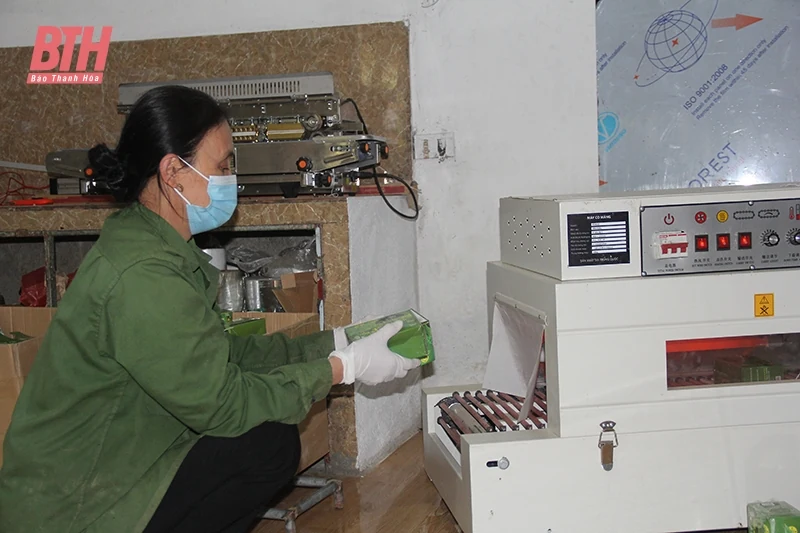 Nỗ lực link m88 100% đề án khuyến công