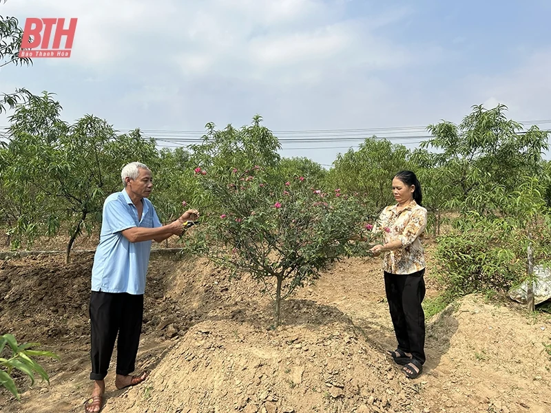 Hiệu quả công tác phòng, chống bạo lực gia đình ở Quảng Xương