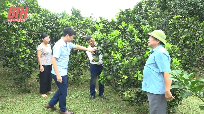 Lam kèo nhà cái m88 nỗ lực về đích xã NTM nâng cao