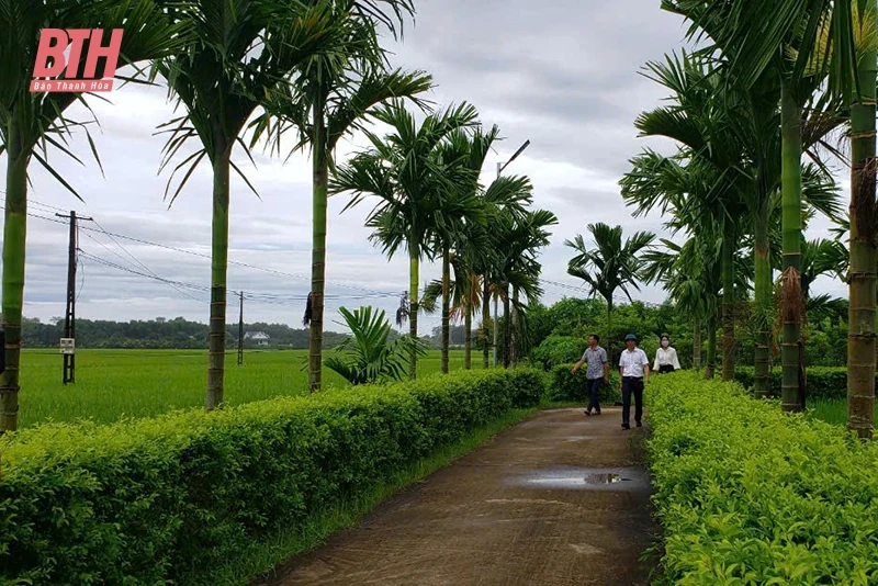 Truyền thống cách mạng là nguồn lực nội sinh XDNTM nâng cao ở Thọ Cường