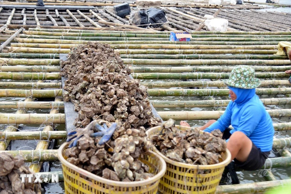Hàn m88 the thao hỗ trợ 1 triệu USD giúp Việt Nam khắc phục hậu quả bão số 3