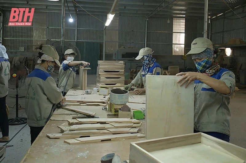 Nỗ lực thành lập doanh nghiệp mới