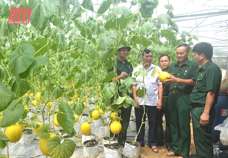 Điểm sáng trong phong trào thi đua “Cựu chiến binh gương mẫu”