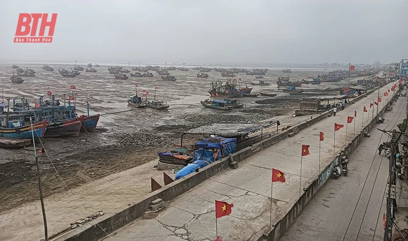 Tuổi trẻ làng biển cùng nhau giữ cho biển xanh