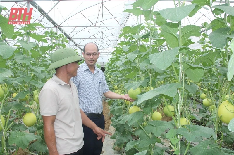 Yên Định quyết tâm cao, nỗ lực lớn trở thành huyện đạt chuẩn NTM nâng cao