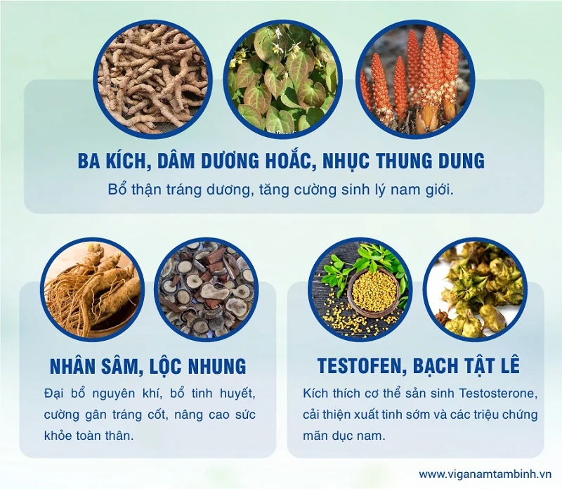 Ưu đãi 5.000 phần quà tăng cường sức khỏe và sinh lý cho nam giới