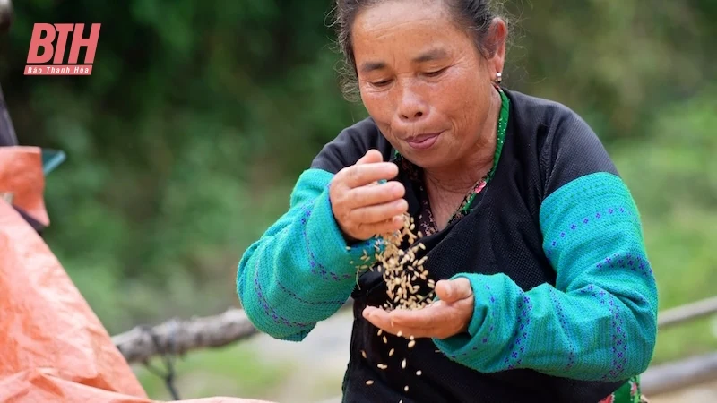 Nụ cười trở lại trên bản người Mông Tà Cóm