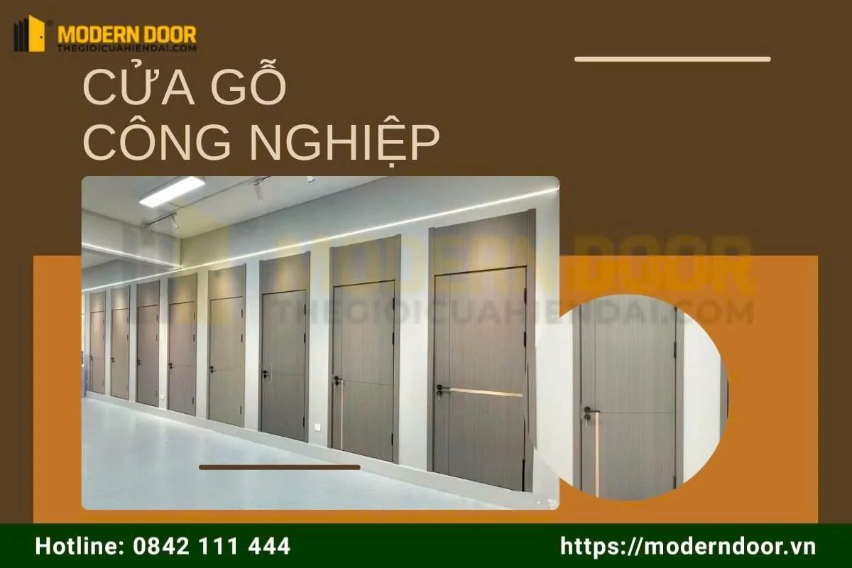 Modern Door - Công ty Sản xuất cửa gỗ công nghiệp uy tín tại TPHCM