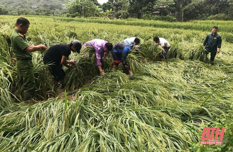 Xây dựng lực lượng dân quân tự vệ phù hợp với tình hình thực tiễn