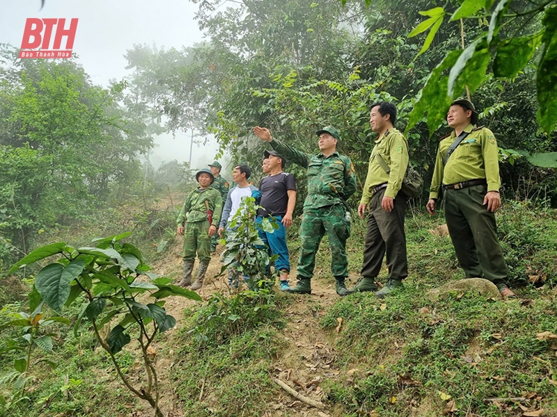 Hạt Kiểm lâm Mường Lát đẩy mạnh tuyên truyền pháp luật về lâm nghiệp