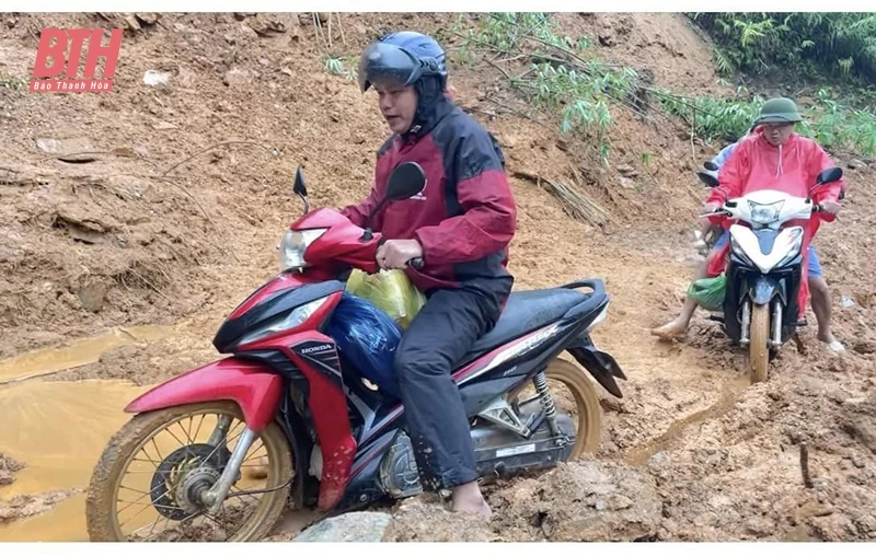 Ánh sáng đang về nơi m88 cá cược thể thao trực tuyến