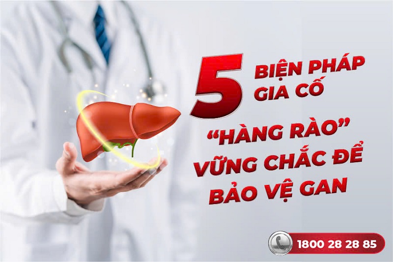 5 biện pháp gia cố “hàng rào” vững chắc để bảo vệ gan