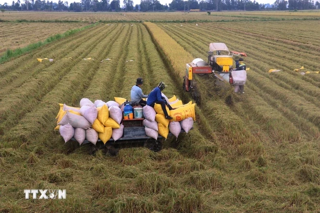 Xuất khẩu kèo nhà cái m88 Việt Nam vượt 8 triệu tấn với trị giá 5,05 tỷ USD