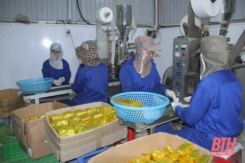 Kiểm tra, đôn đốc tiến độ xây dựng kèo nhà cái m88 dịp cuối năm
