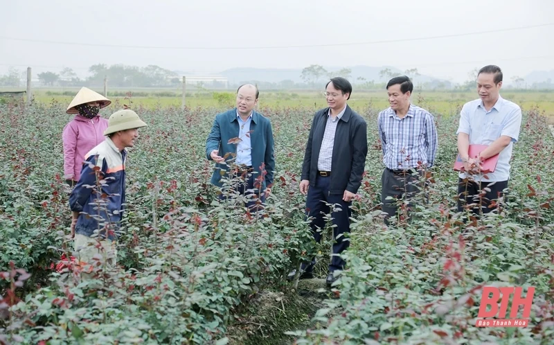 Kiểm tra công tác sản xuất vụ đông năm 2024-2025