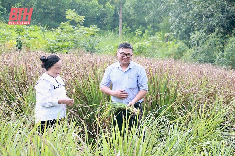 “Ngân hàng tại làng”