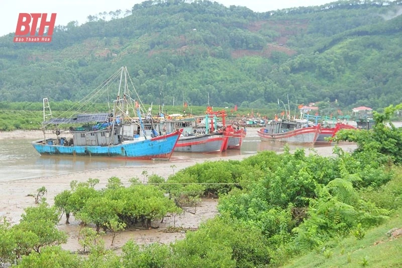 Hoằng Hóa chủ động phương án bảo đảm an toàn cho tàu thuyền