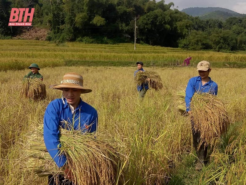 Phát huy vai trò tổ chức cơ sở đảng vùng đồng bào dân tộc thiểu số