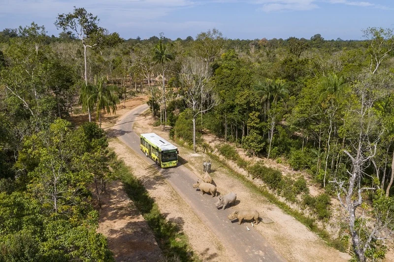 Vinpearl Safari Phú link m88 lọt top đầu vườn thú và thủy cung tại Châu Á