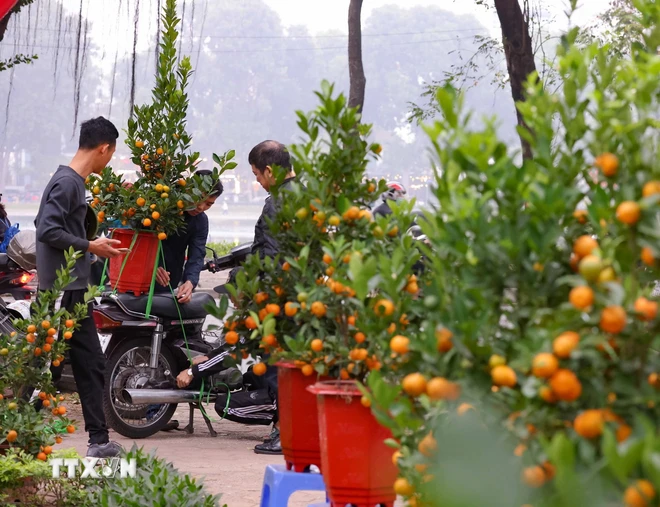 Thủ tướng Chính phủ đồng ý với đề xuất nghỉ Tết Ất Tỵ 9 ngày liên tục