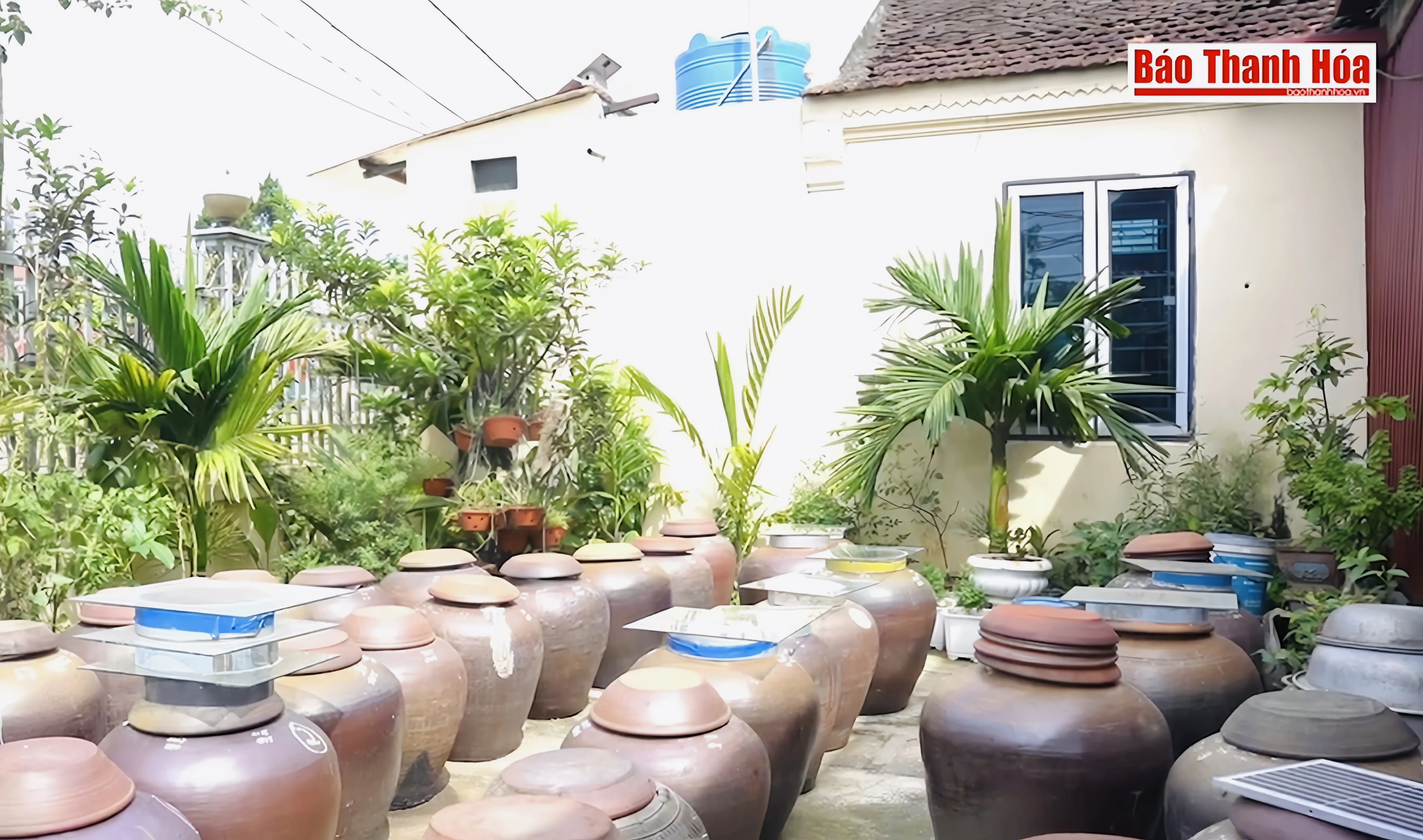 Người nặng lòng với tương m88 the thao Phả