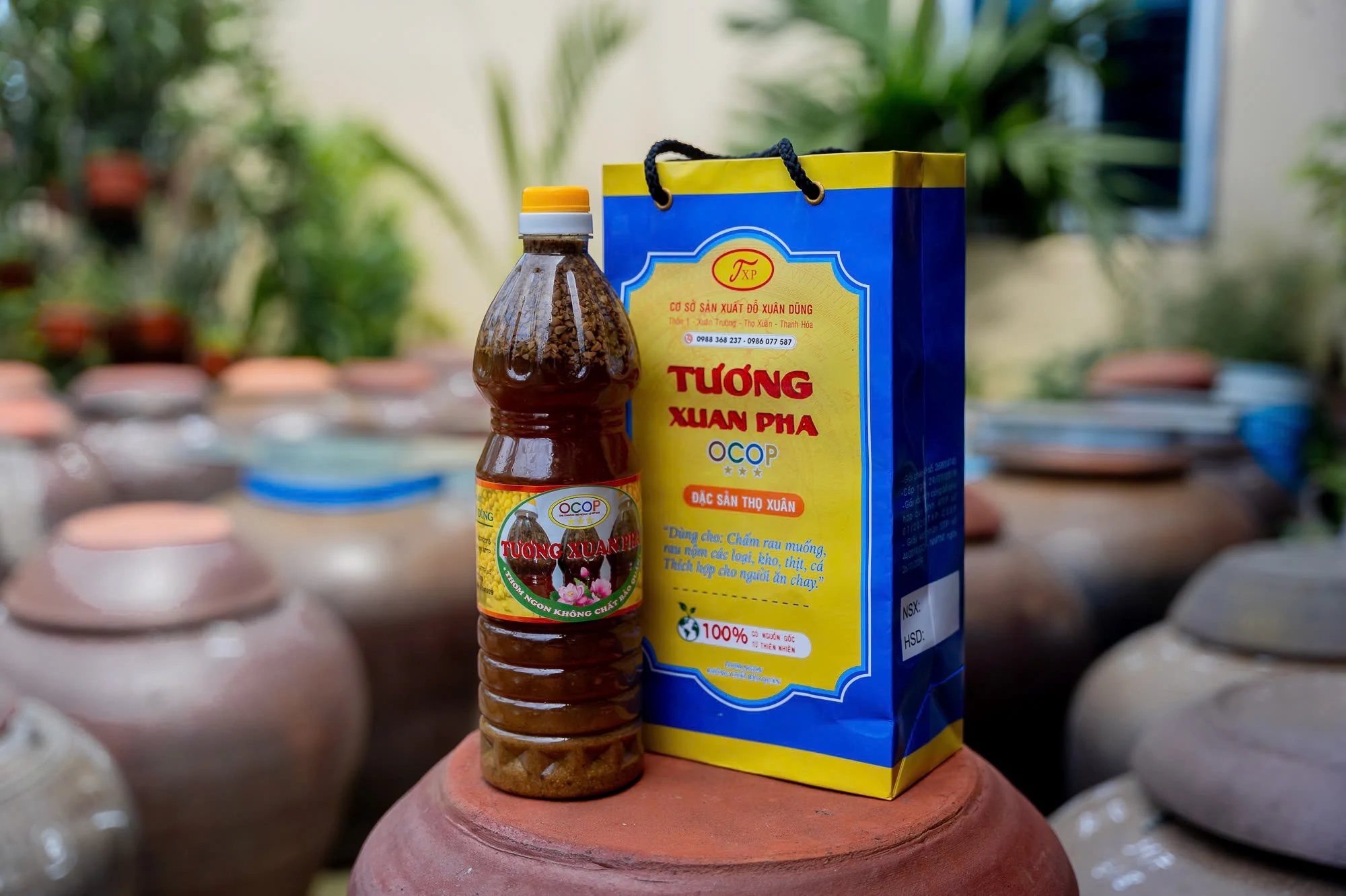 Người nặng lòng với tương m88 the thao Phả