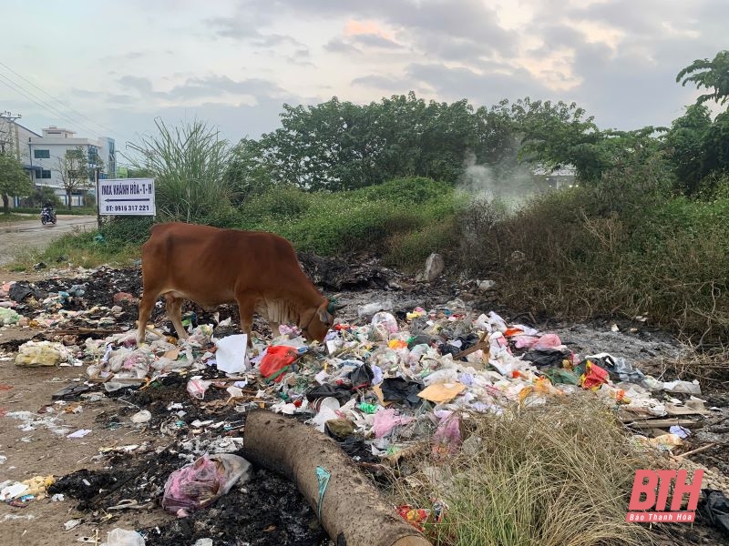 Tràn lan rác thải trước cổng chào phố Tân Lập, phường Đông Thọ