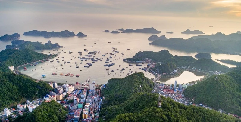 “Cát Bà đã chọn đúng nhà đầu tư tâm huyết phát triển du vao m88 bền vững”