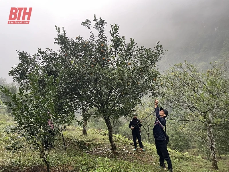 Trải nghiệm trekking tour khám phá bản Kho Mường