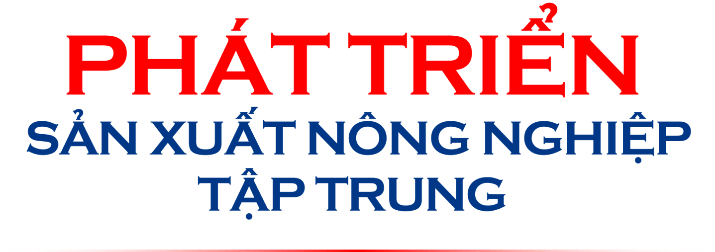 Quy hoạch tỉnh Bình Phước thời kỳ 2021-2030, tầm nhìn đến năm 2050: Tầm nhìn mới, cơ hội mới, giá trị mới