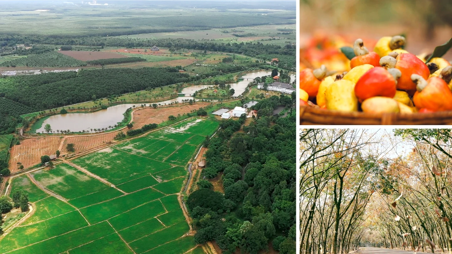 Quy hoạch tỉnh Bình Phước thời kỳ 2021-2030, tầm nhìn đến năm 2050: Tầm nhìn mới, cơ hội mới, giá trị mới