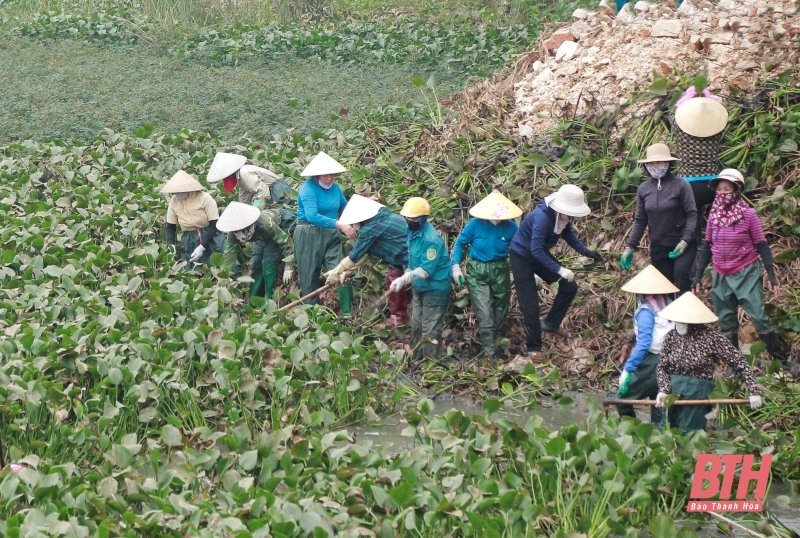 Phấn đấu nạo vét hơn 1,2 triệu m3 kênh mương thủy lợi mùa khô trước 31/12/2024