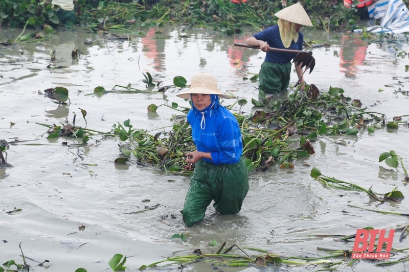 Phấn đấu nạo vét hơn 1,2 triệu m3 kênh mương thủy lợi mùa khô trước 31/12/2024