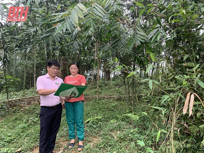 Góp phần đẩy nhanh tiến độ XDNTM trên địa bàn huyện link m88